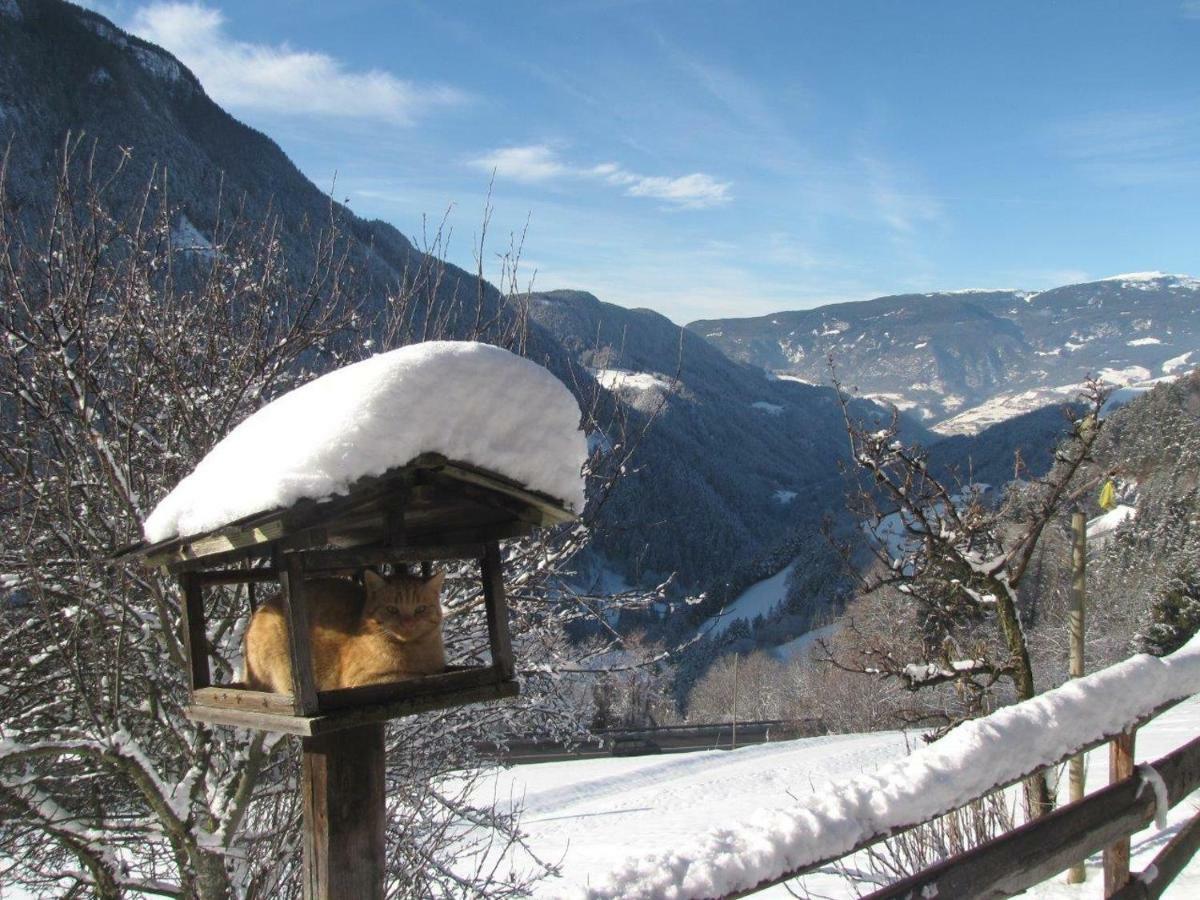 Ritschhof Guest House Laion Exterior foto
